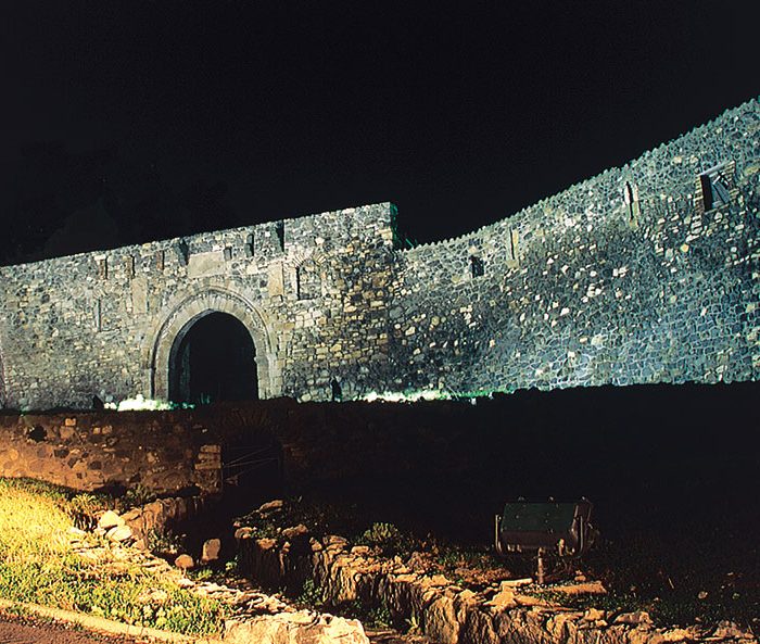 porta-venosina porta-venosina