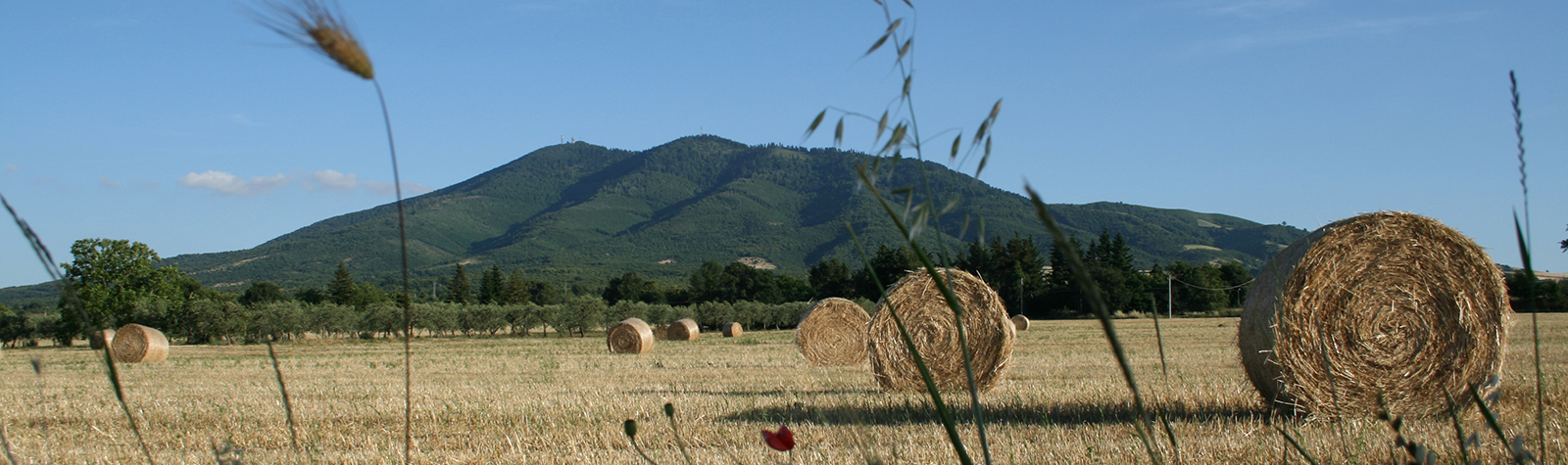 Giugno al Castagneto 1 notte