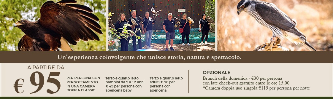 Weekend Falconeria 1/2 agosto